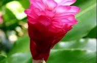 網(wǎng)站建設多少聯(lián)系咨詢牛推網(wǎng)x 網(wǎng)站建設