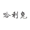 哈利兔