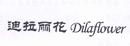 迪拉麗花 DILAFLOWER