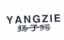 揚(yáng)子鱷