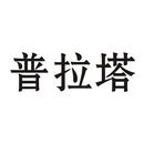 普拉塔