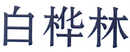 白樺林