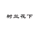 樹蘭花下