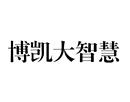 博凱大智慧
