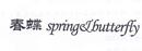 春蝶 SPRING