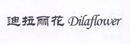 DILAFLOWER 迪拉麗花