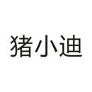 豬小迪