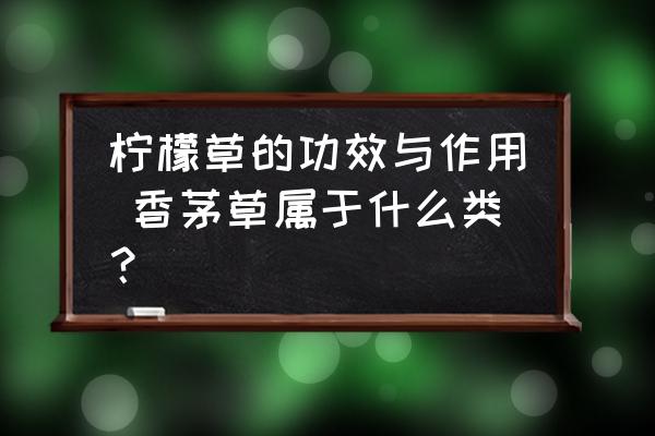 檸檬草的功效與作用 香茅草屬于什么類？