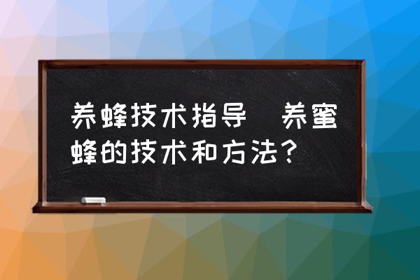 養蜂技術指導(養蜜蜂的技術和方法？)