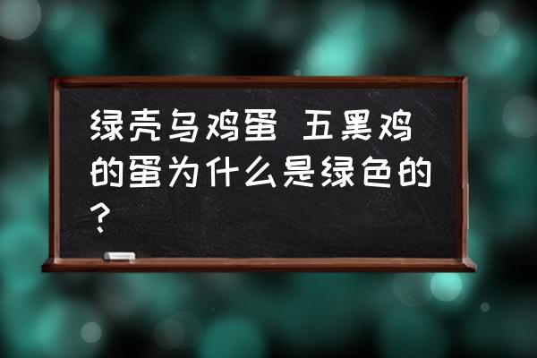 綠殼烏雞蛋 五黑雞的蛋為什么是綠色的？