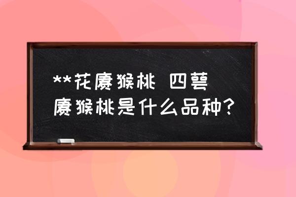 **花獼猴桃 四萼獼猴桃是什么品種？