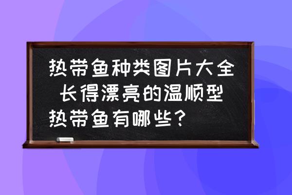 熱帶魚種類圖片大全 長得漂亮的溫順型熱帶魚有哪些？