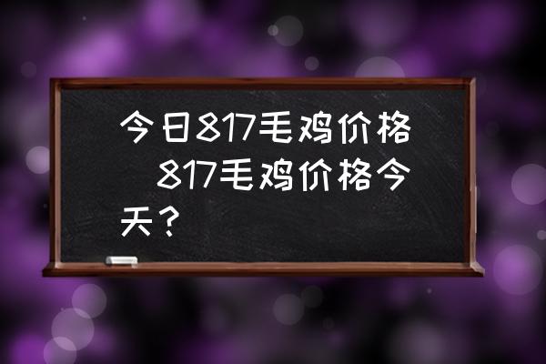 今日817毛雞價格(817毛雞價格今天？)