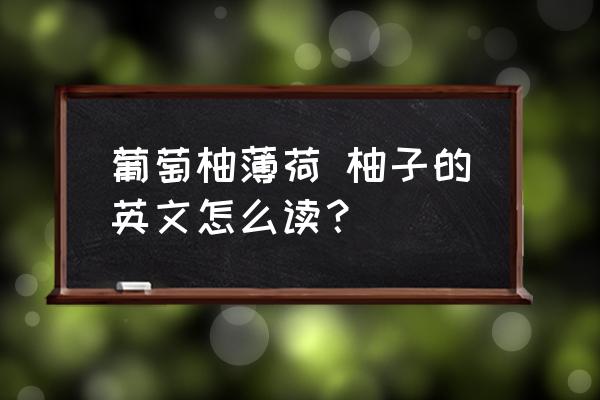 葡萄柚薄荷 柚子的英文怎么讀？