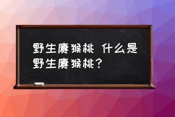 野生獼猴桃 什么是野生獼猴桃？