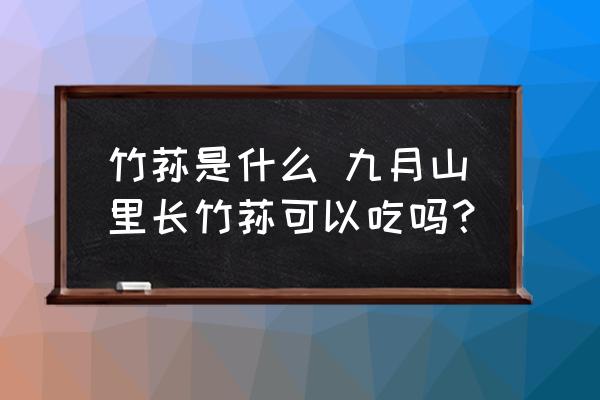竹蓀是什么 九月山里長竹蓀可以吃嗎？