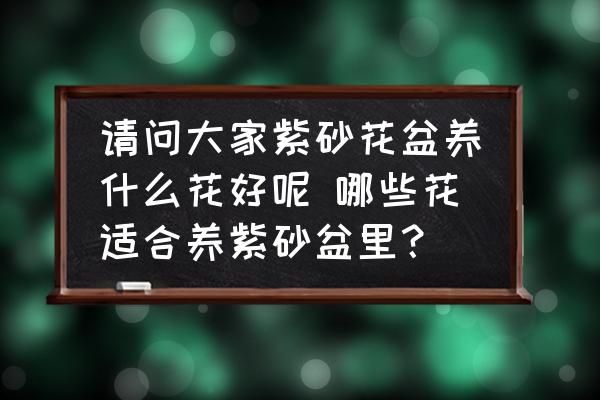 請(qǐng)問(wèn)大家紫砂花盆養(yǎng)什么花好呢 哪些花適合養(yǎng)紫砂盆里？