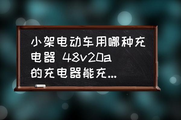 小架電動車用哪種充電器 48v20a的充電器能充小電動車嗎？