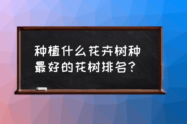 種植什么花卉樹種 最好的花樹排名？