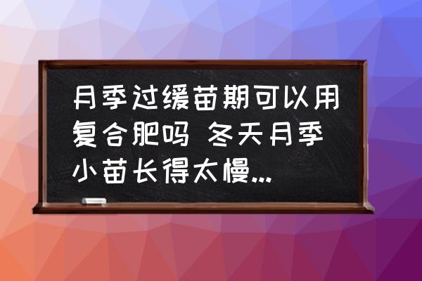 月季過緩苗期可以用復合肥嗎 冬天月季小苗長得太慢怎么辦？