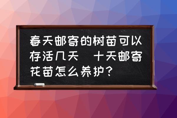 春天郵寄的樹苗可以存活幾天(十天郵寄花苗怎么養護？)