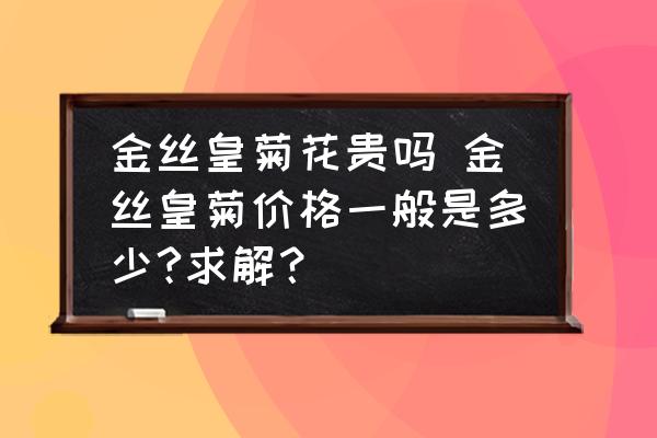 金絲皇菊花貴嗎 金絲皇菊價格一般是多少?求解？