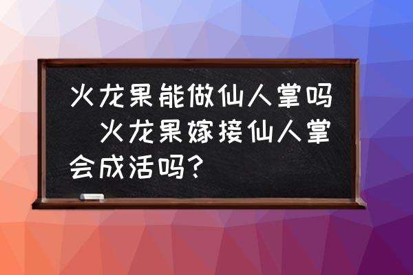 火龍果能做仙人掌嗎(火龍果嫁接仙人掌會(huì)成活嗎？)
