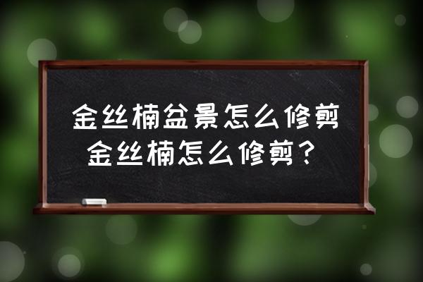 金絲楠盆景怎么修剪 金絲楠怎么修剪？