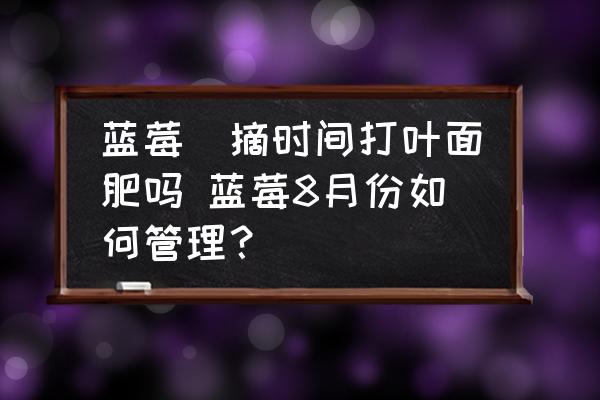 藍莓釆摘時間打葉面肥嗎 藍莓8月份如何管理？