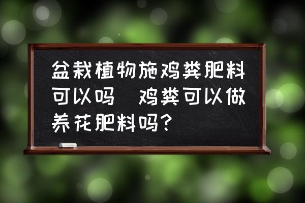 盆栽植物施雞糞肥料可以嗎(雞糞可以做養(yǎng)花肥料嗎？)