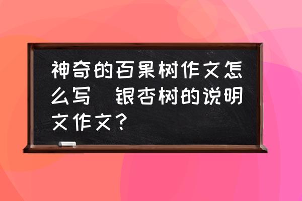 神奇的百果樹作文怎么寫(銀杏樹的說明文作文？)