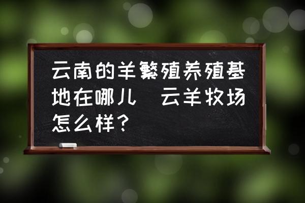 云南的羊繁殖養殖基地在哪兒(云羊牧場怎么樣？)