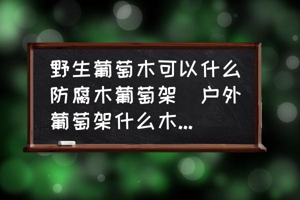 野生葡萄木可以什么防腐木葡萄架(戶外葡萄架什么木頭好？)
