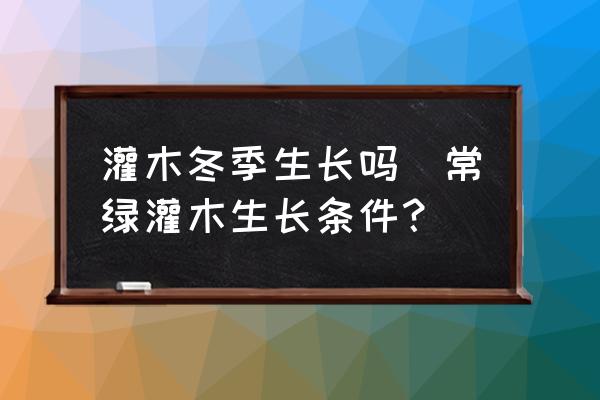 灌木冬季生長(zhǎng)嗎(常綠灌木生長(zhǎng)條件？)