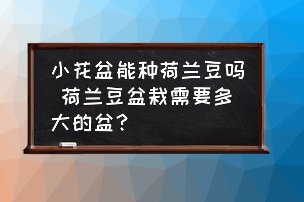 小花盆能種荷蘭豆嗎 荷蘭豆盆栽需要多大的盆？