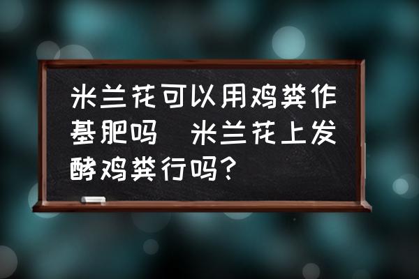 米蘭花可以用雞糞作基肥嗎(米蘭花上發(fā)酵雞糞行嗎？)
