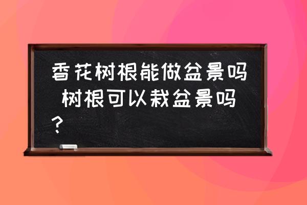 香花樹根能做盆景嗎 樹根可以栽盆景嗎？