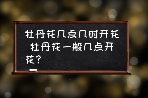 牡丹花幾點幾時開花 牡丹花一般幾點開花？