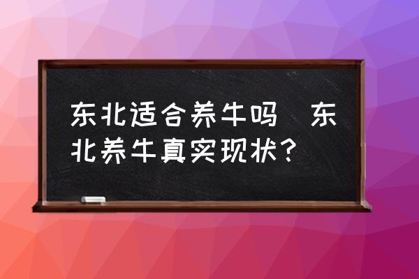 東北適合養(yǎng)牛嗎(東北養(yǎng)牛真實現(xiàn)狀？)