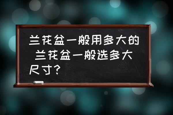 蘭花盆一般用多大的 蘭花盆一般選多大尺寸？