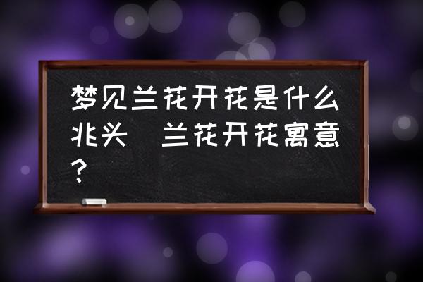 夢見蘭花開花是什么兆頭(蘭花開花寓意？)