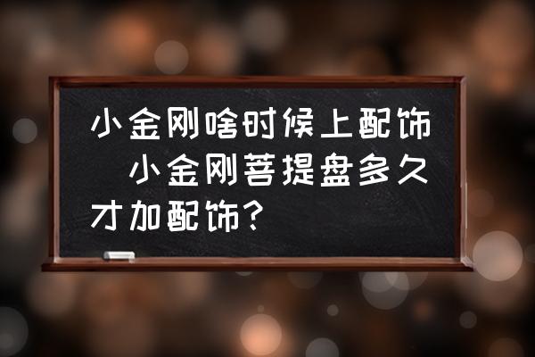 小金剛啥時候上配飾(小金剛菩提盤多久才加配飾？)