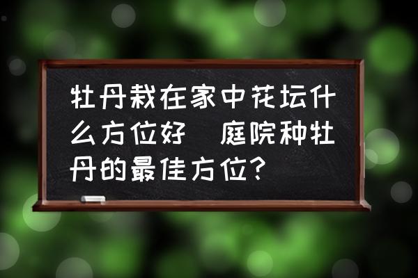 牡丹栽在家中花壇什么方位好(庭院種牡丹的最佳方位？)