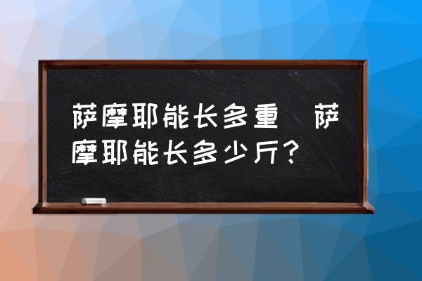 薩摩耶能長多重(薩摩耶能長多少斤？)