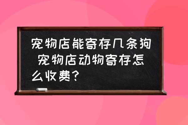 寵物店能寄存幾條狗 寵物店動物寄存怎么收費？
